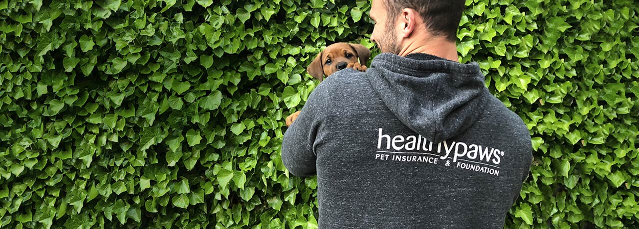 Customer Center | Healthy Paws Pet Insurance & Foundation