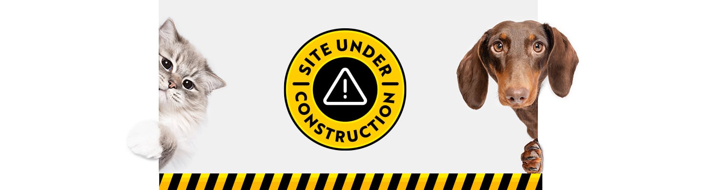 Site Under Construction