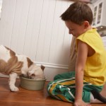 dog eating from bowl with young boy