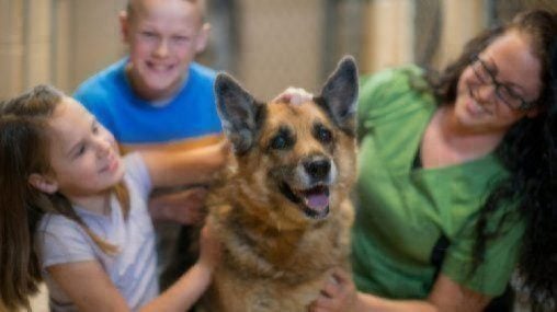 mother and two children petting shepherd dog