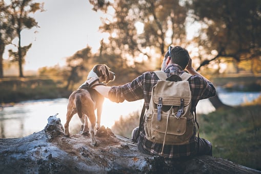 camping with dog