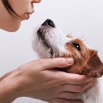 Woman kissing dog