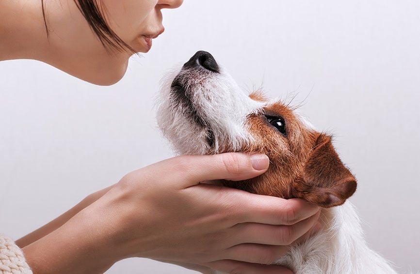 Woman kissing dog