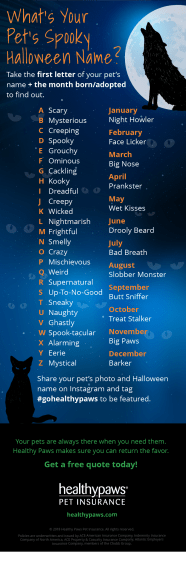 What s Your Pet s Spooky Halloween Name Healthy Paws Pet Insurance