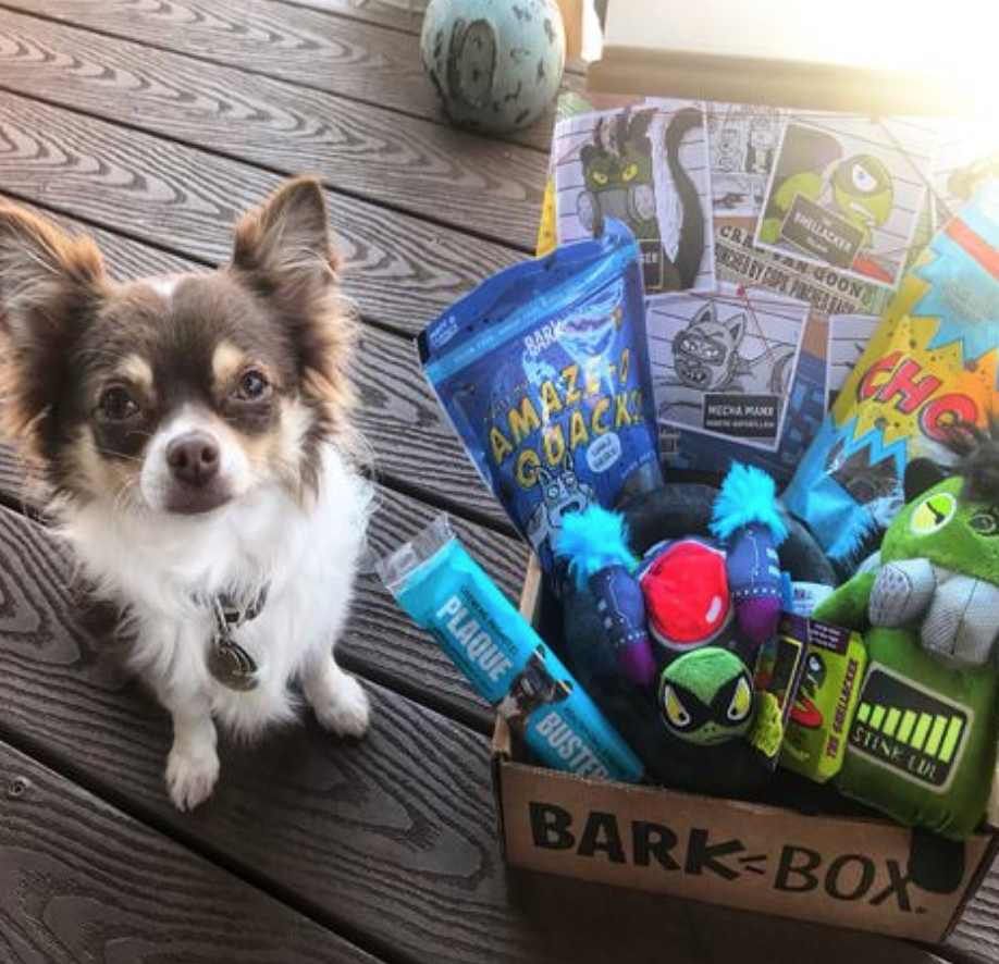 barkbox subscription box