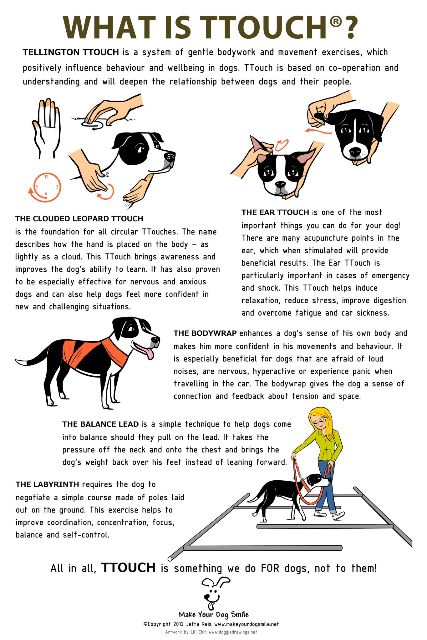 What is T-Touch infographic