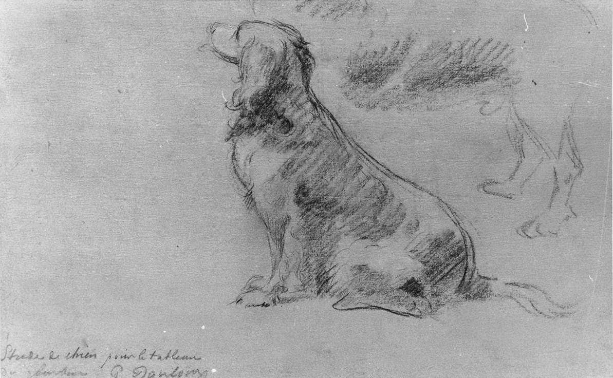 pencil sketch of a dog