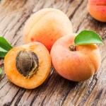 can dogs eat apricot