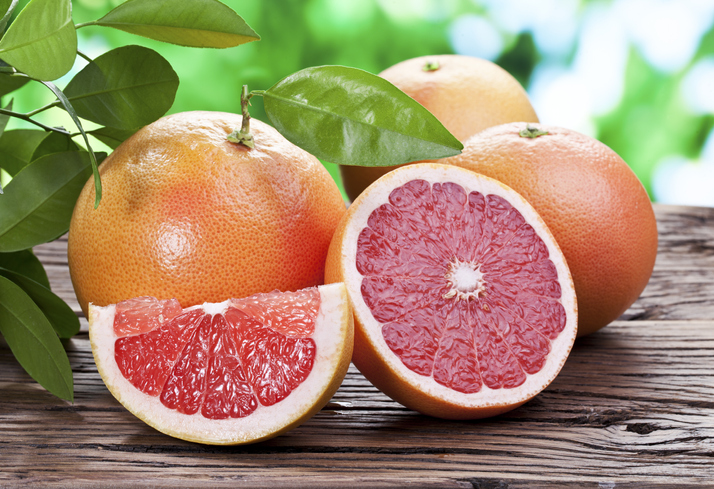 can dogs eat grapefruit