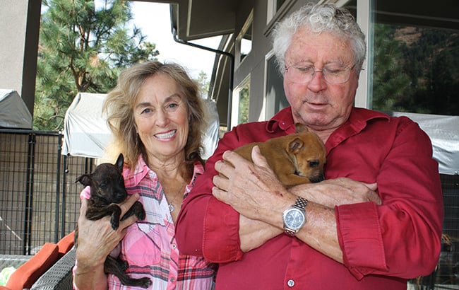 Tom and Jan Short of Cashmere, Wash. have saved more than 3,000 dogs through their non-profit shelter.