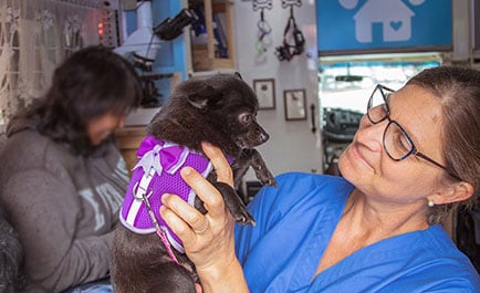 Dr. Hanna Ekstrom with a little dog.