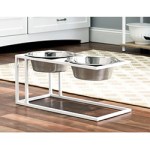 Cityline elevated dog dish