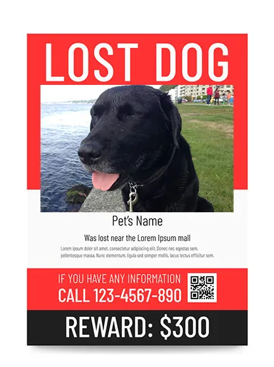 Lost dog poster