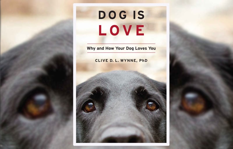 Dog is Love book cover