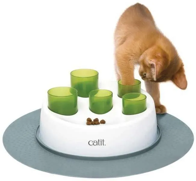 7 Different Types of Toys to Offer Your New Cat Healthy Paws Pet Insurance