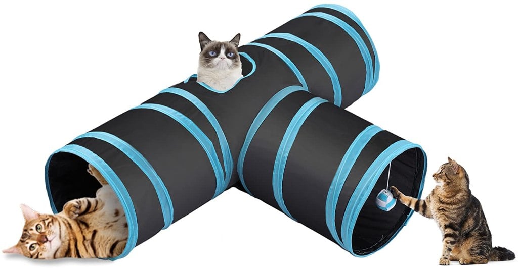 cat tunnel