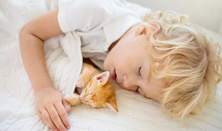 Sleeping child and kitten