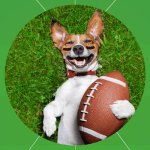 Dog with football