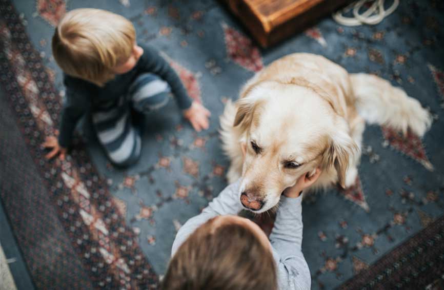 kids and a dog