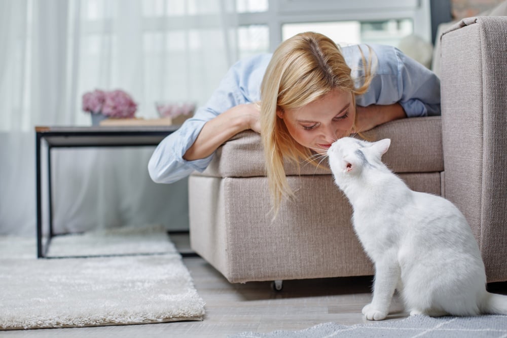 woman kissing white cat