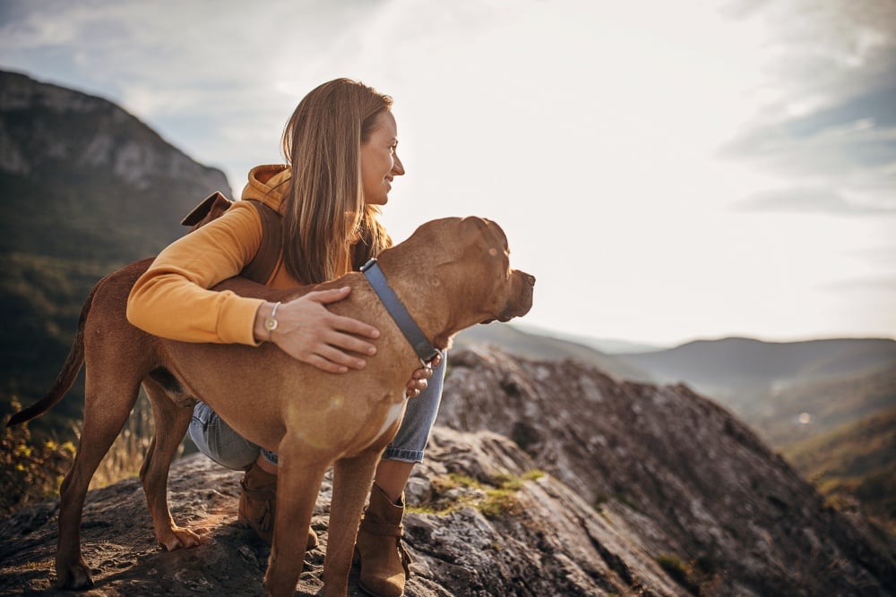 woman on mountain with dog