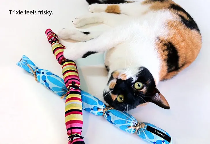 cat with homemade toy