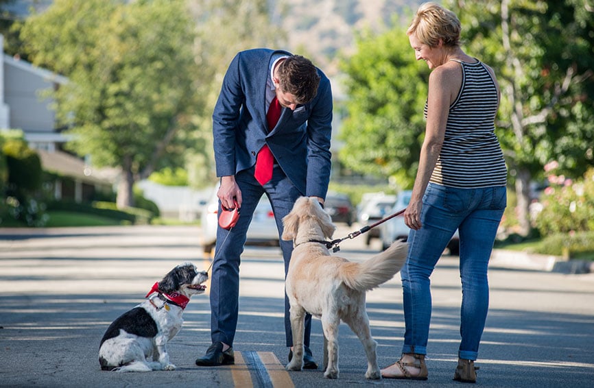 Dog meeting a stranger