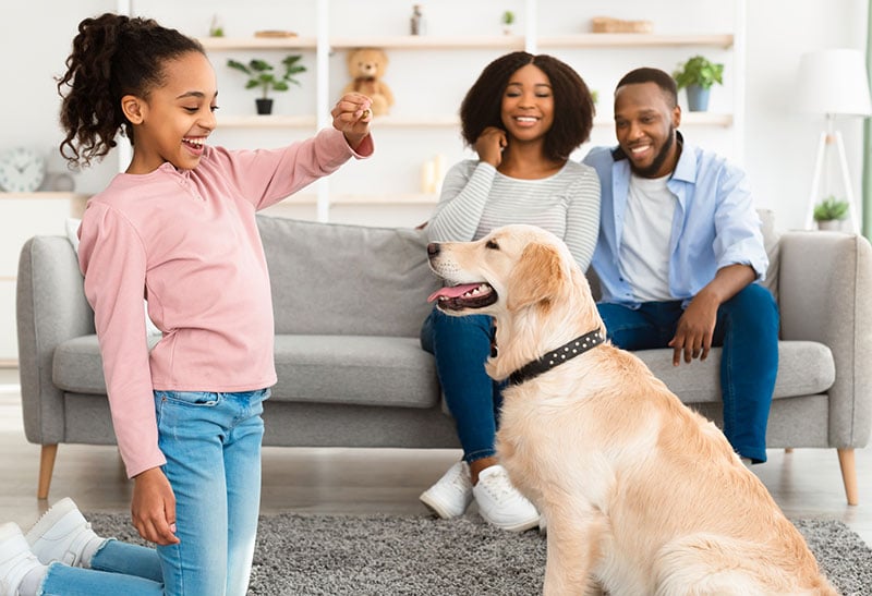 Girl holding a treat for her dog