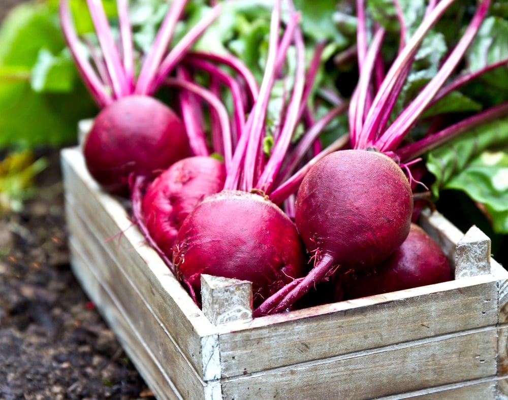 beets in a box