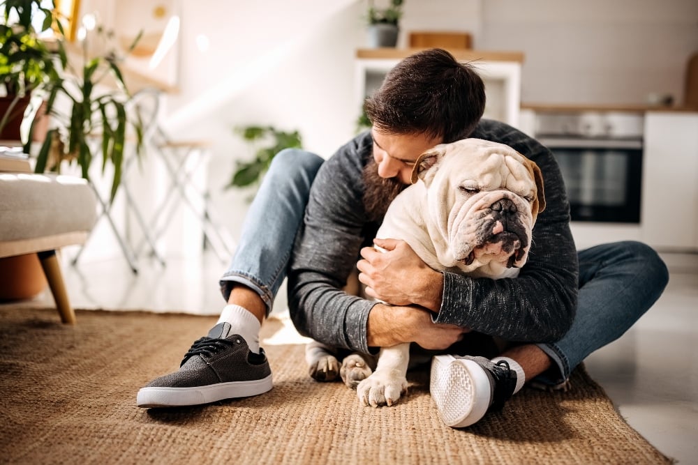 man hugging english bulldog on floor