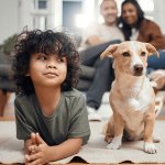 boy and dog happy