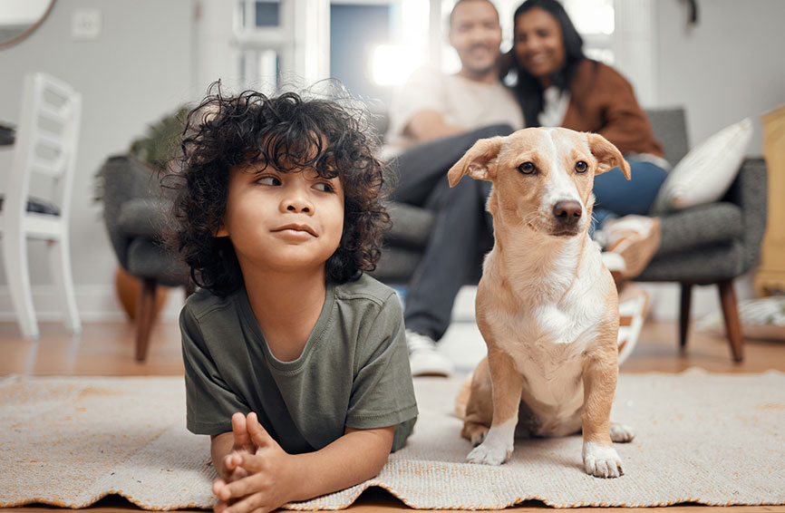 boy and dog happy