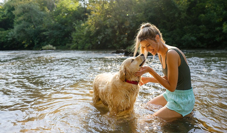 dog swimming in a lake