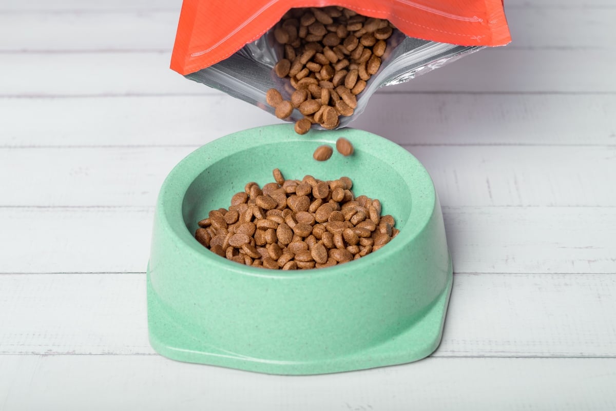 dog food bowl of kibble