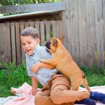 dog jumping on boy