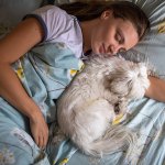 Dog sleeping with woman