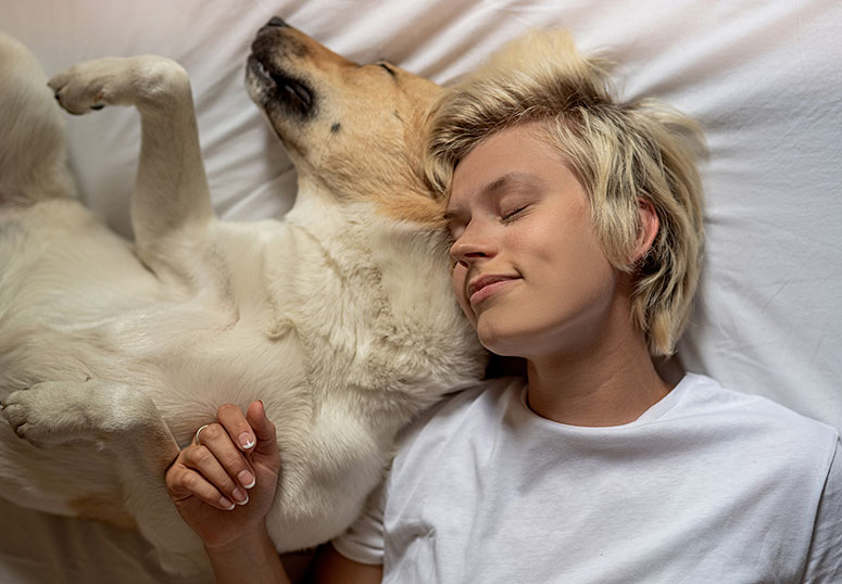 Dog sleeping with woman