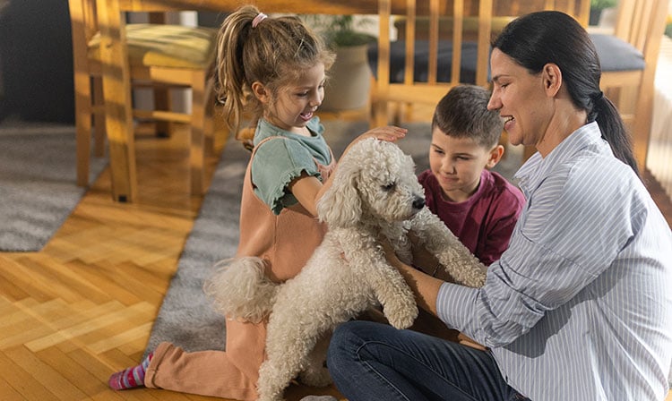 Lagotto Romangnolo with family