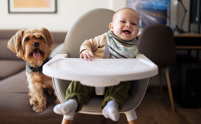 Dog and baby