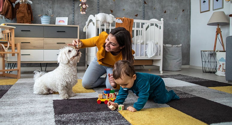 Dog and baby