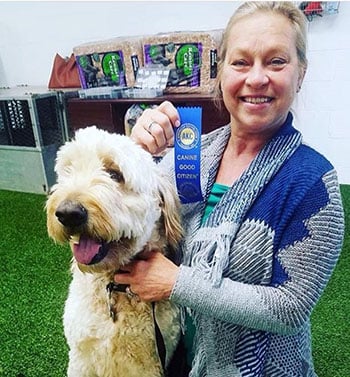 Goldendoodle winning a prize