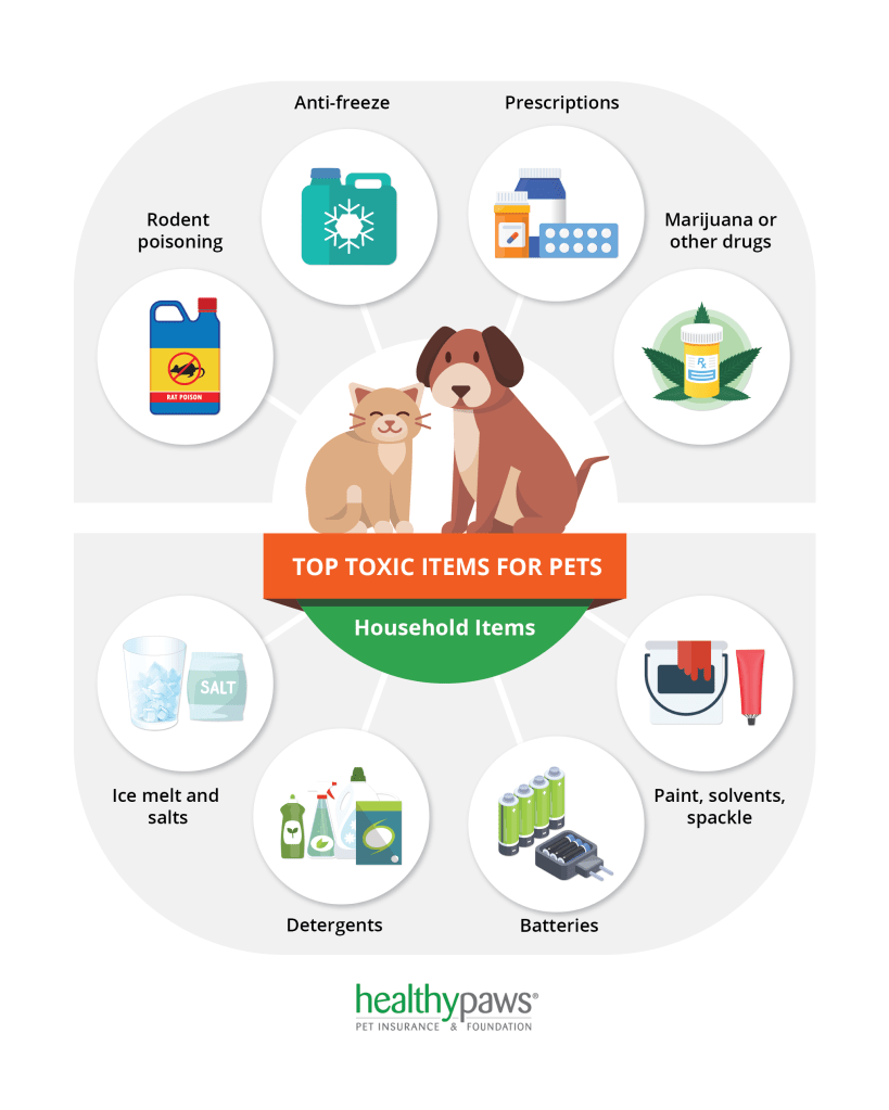 Infographic - top toxins for pets