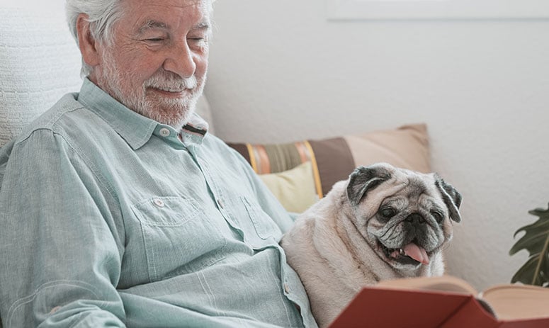 Older pug with older man