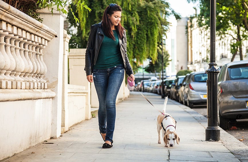 Woman walking a dog in the city.