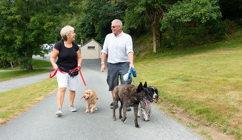 Two people walking dogs