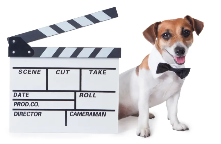 Dog with movie sign