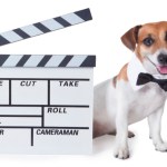 Dog with movie sign