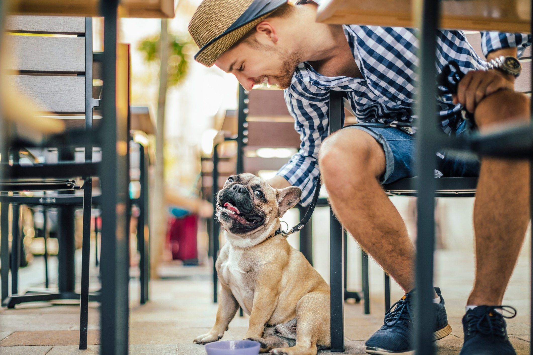 man at outdoor cafe table petting french bulldog