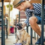 man at outdoor cafe table petting french bulldog