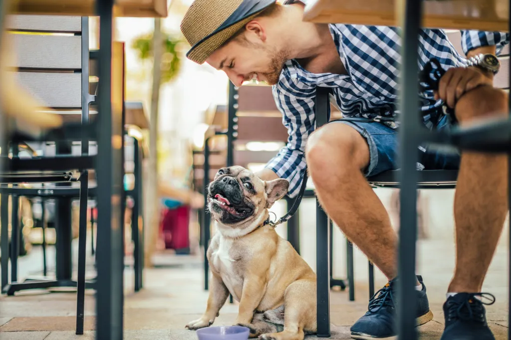 man at outdoor cafe table petting french bulldog